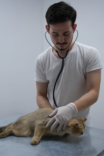 Photo by Sueda Güzeldere on Pexels