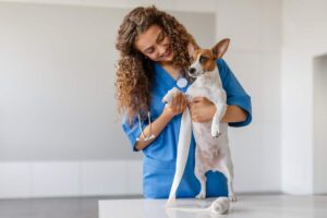 A pet owner organizes a first aid kit with bandages, gloves, and supplies at a kitchen table beside a calm dog.