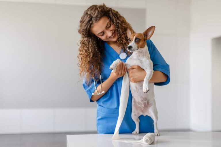 A pet owner organizes a first aid kit with bandages, gloves, and supplies at a kitchen table beside a calm dog.