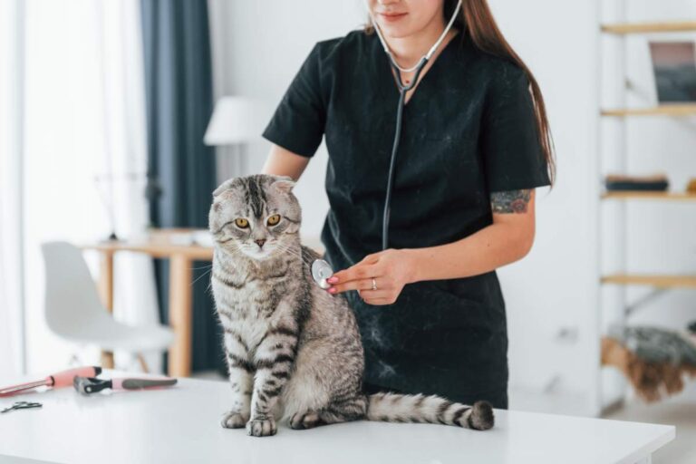 A family supervises a calm dog and cat meeting through a safety gate in a bright home.