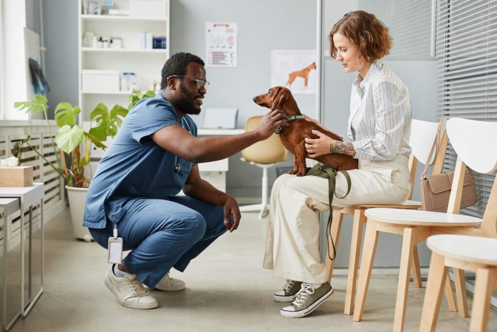 A veterinarian examining a dog's nutrition chart while a dog owner looks on attentively.