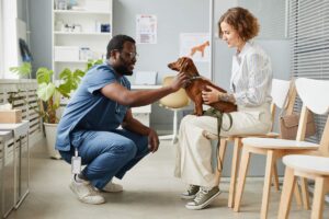 A veterinarian examining a dog's nutrition chart while a dog owner looks on attentively.